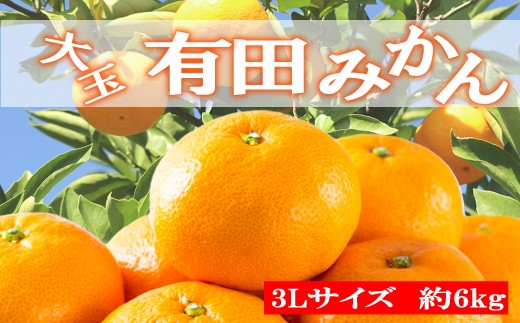 
                  [秀品]和歌山有田みかん　6kg(3Lサイズ) ※2026年11月中旬～2027年1月中旬頃順次発送【tec836A】
                