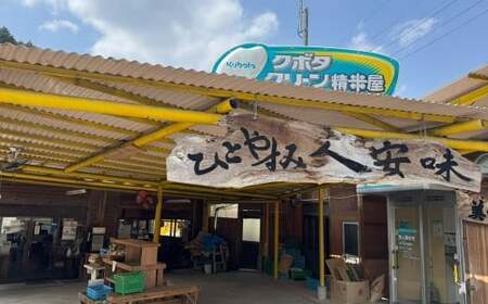 令和7年産 里海米 （キヌムスメ） 10kg 【2025年10月上旬から2026年9月下旬発送予定】 ／ きぬむすめ お米 米 精米 白米 ご飯 岡山県 美咲町