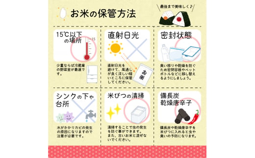 ＜ 2025年4月上旬＞ 令和6年産 はえぬき 5kg (5kg×1袋)  山形県産 010-C-JA007-2025-04J 2025年4月上旬　発送コース