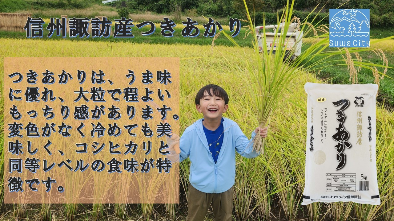 長野県諏訪産「つきあかり」10kg(10kg×1袋)