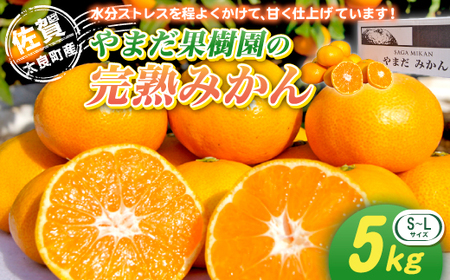 やまだ果樹園の完熟みかん　５ｋｇ　みかん 太良みかん 温州みかん 完熟みかん 国産みかん 小玉みかん 大玉みかん 佐賀県 太良町 L32