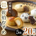 【ふるさと納税】ひとくちまんじゅう 佐伯むすめ (計20個・5種×4個) 饅頭 饅頭 ひとくち 一口 薄皮 みそ 黒糖 抹茶 チーズ スイーツ お菓子 おやつ 焼き菓子 和菓子 詰め合わせ 個装 常温 大分県 佐伯市【AG95】【 (株)お菓子のウメダ】