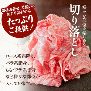  飛騨牛 切り落とし 250g A5 A4 肉のひぐち 5000円