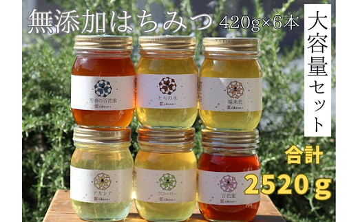 
c_89　舘養蜂場本店　九華はちみつ大容量セット420ｇ×6本
