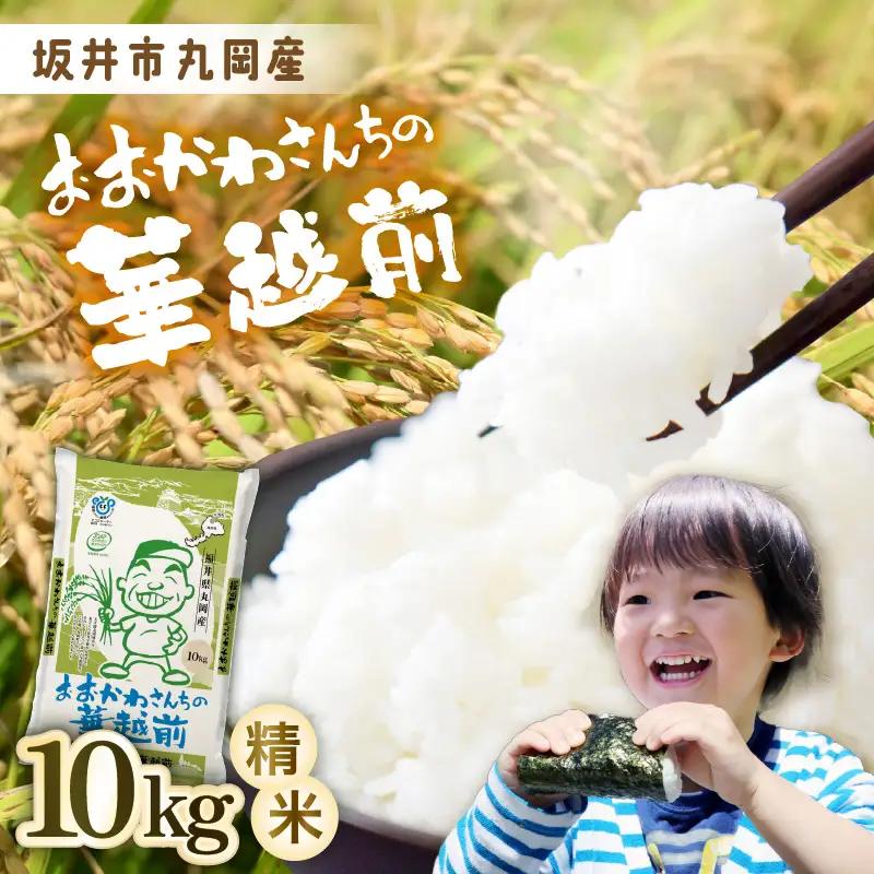 【令和7年産】 おおかわさんちの華越前 10kg 精米 [A-10819]