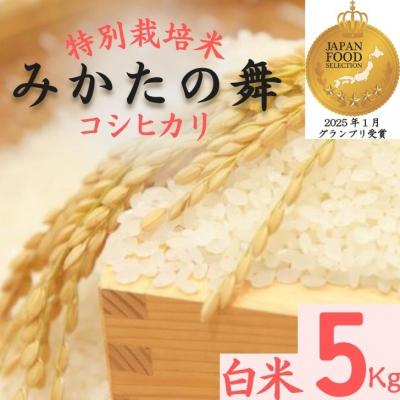 ふるさと納税 宍粟市 白米 5Kg コシヒカリ「 みかたの舞 」 特別栽培米　P16