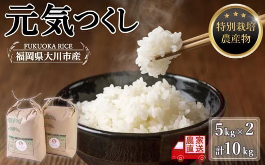 白米(特別栽培農産物)元気つくし 5kg×2袋 (計10kg)