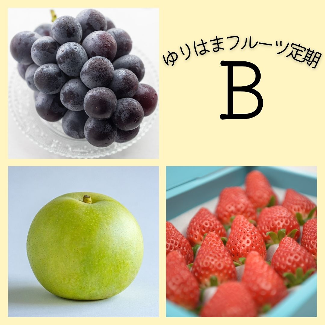 
            38K.ゆりはまフルーツ定期B
          