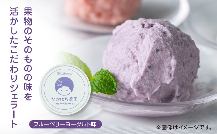 【限定数量】【全3回定期便】熊本県産 ブルーベリージェラート 8個 アイス カップ 熊本 山都町 冷凍【なかはた農園】[YBI033]