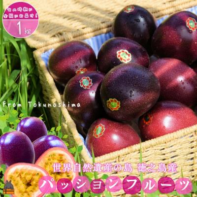 ふるさと納税 徳之島町 《今が旬!》太陽が育てた徳之島産パッションフルーツ(1kg)