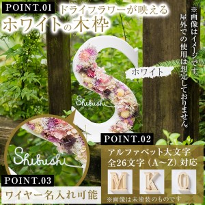 【ギフト対応】アルファベットドライフラワーオブジェ(木枠：ホワイト) b0-168-wh