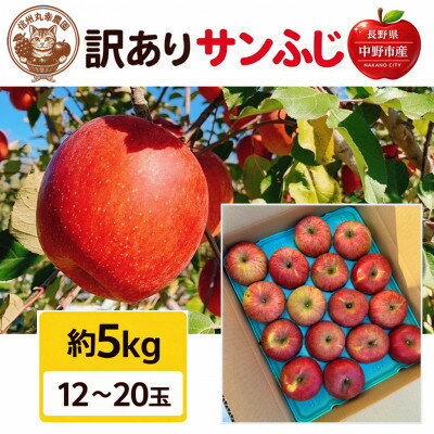【ふるさと納税】生産農家直送　長野県中野市産　サンふじ　訳ありご家庭用　約5kg(12～20玉)【1716055】