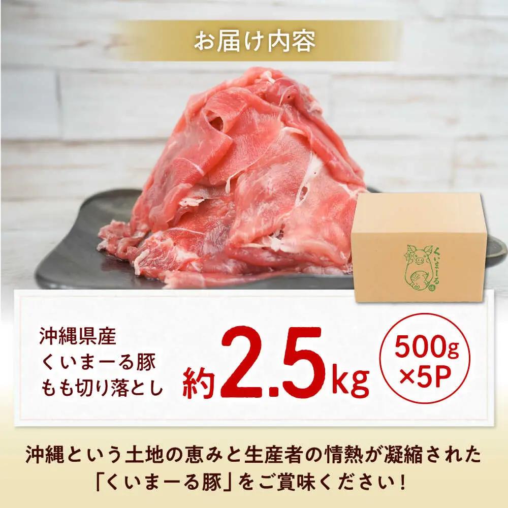 豚肉切り落とし 500g×5パック 豚肉切り落とし BCAJ013