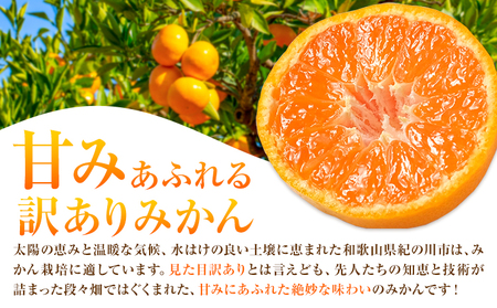 訳ありみかん 3kg こだまファーム《10月中旬-2月下旬頃出荷》和歌山県 紀の川市 みかん ミカン 柑橘 果物 フルーツ 訳あり 訳アリ ご家庭用 和歌山県産