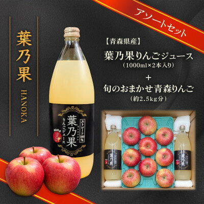 【ふるさと納税】葉とらずりんごジュース2本&家庭用訳あり 青森県産りんご約2.5kg(品種おまかせ)　アソートセット【配送不可地域：離島・沖縄県】【1722177】