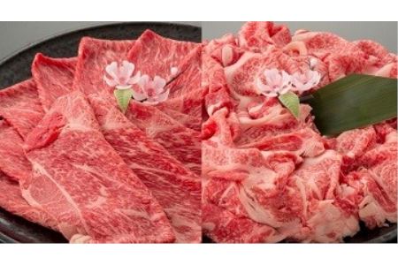 近江牛二種セット【1㎏（赤身スライス500ｇ、切り落とし500ｇ）】【AC13U】