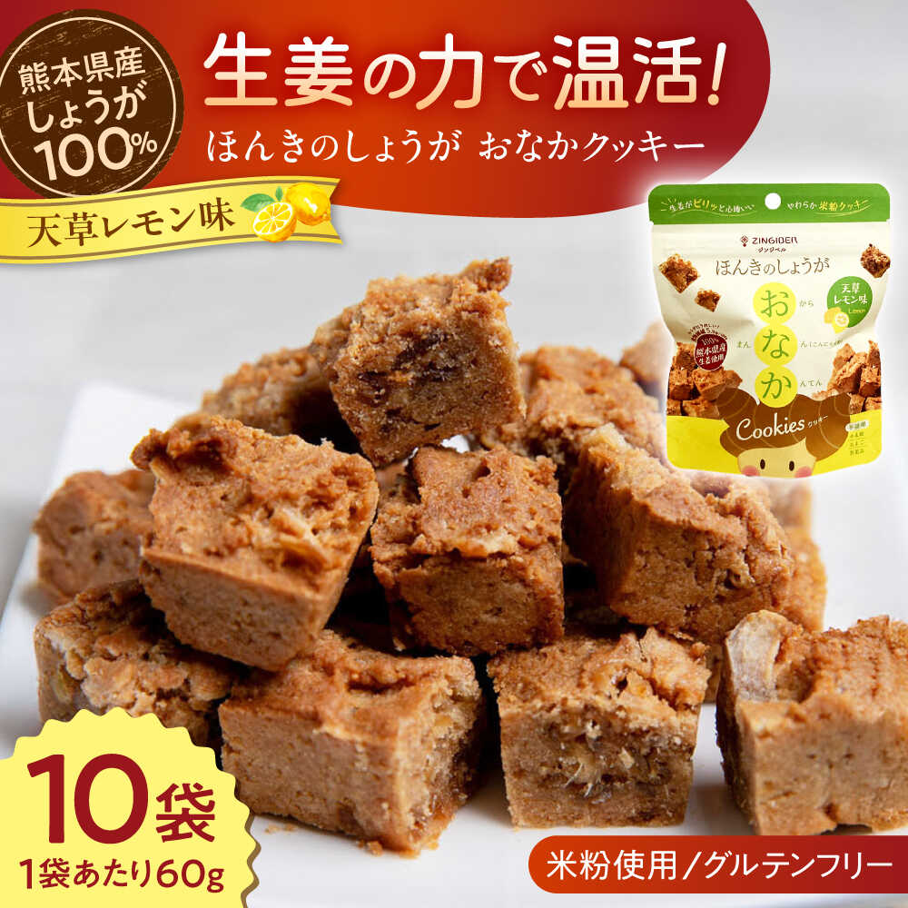 【ふるさと納税】ほんきのしょうが おなかクッキー 天草レモン味10袋セット【ジンジベル】 生姜 しょうが ジンジャー おから マンナン 蒟蒻 こんにゃく 寒天 かんてん クッキー 小腹 食物繊維 米粉 米粉クッキー おからクッキー おやつ 手軽 ギフト プレゼント [AYAD018]