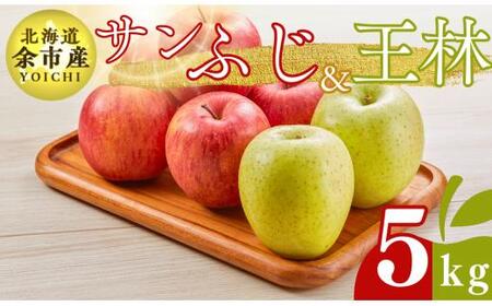 【先行受付：2025年12月下旬以降発送】余市産 ふじ＆王林 松村農園産のりんご 5kg_Y067-0200