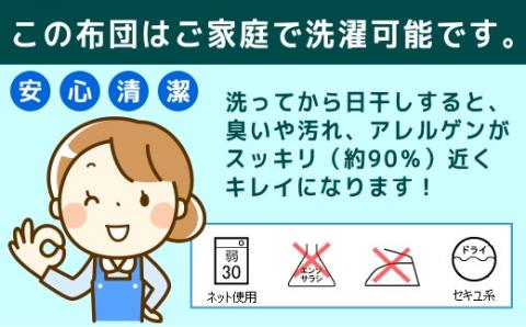 【ダブル】洗濯機で洗える2枚合わせ羽毛ふとん｜合い掛け　肌掛け　オールシーズン【新津】