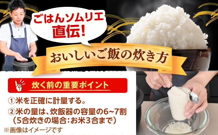 米 定期便 令和7年産 R7年産 コシヒカリ 島根 雲南