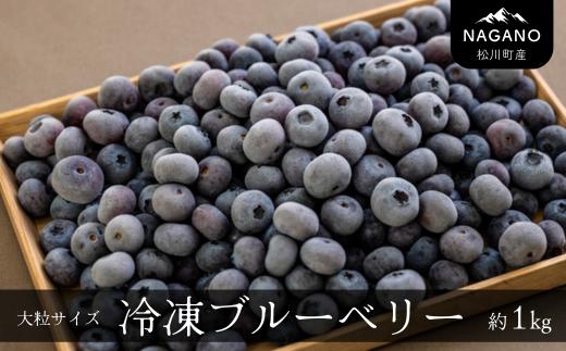 KB05-25A 冷凍ブルーベリー 約1kg【2Lサイズ以上】// 長野県 南信州 松川町 摘みたて 朝摘み 新鮮 安全 産地直送 農家直送 大粒 2Lサイズ以上 冷凍 ブルーベリー 果物 フルーツ