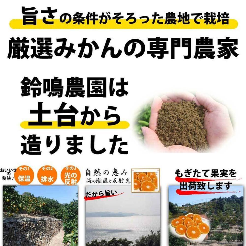 みかん 4kg ご家庭用　和歌山県有田川町産　有田みかん ありだみかん