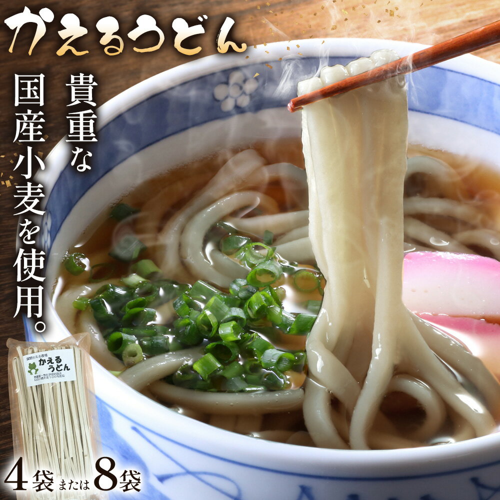 【ふるさと納税】うどん かえるうどん 細麺 太麺 2種 4袋 8袋 野木町産小麦100％《30日以内に出荷予定(土日祝除く)》 宝咲屋 麺類 麺 栃木県 野木町