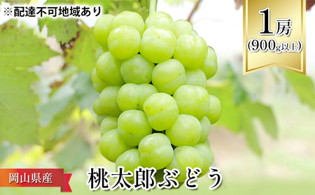 ぶどう 1房 900g以上 2026年 先行予約 桃太郎 ぶどう