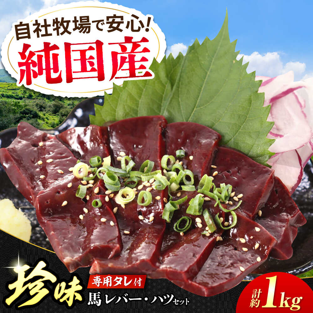 【ふるさと納税】D（約200g×5セット）レバー ハツ 刺身 タレ付 馬肉 希少 熊本 生レバー 生ハツ【有限会社 九州食肉産業】[AYCN019] 肉 珍味 タレ付 九州 熊本 桜肉 馬 うま ウマ 国産 小分け 新鮮 冷凍 醤油 タレ ギフト 食品 合志 合志市
