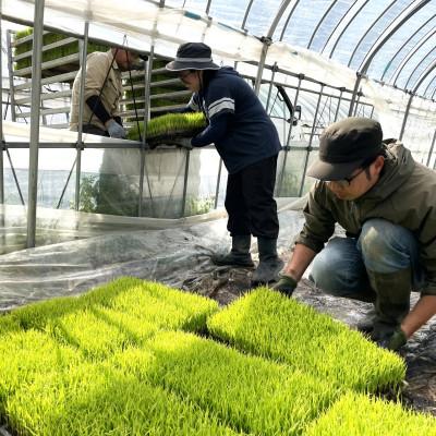 ふるさと納税 遠野市 【毎月定期便】ササニシキ 白米 精米 5kg 岩手県遠野市 勘六縁「たけのこ舎」全3回 |  | 01