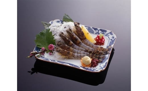 活車海老 375g 指定日可能【数量限定 先行予約】（12月1日から配送開始） 010-C165