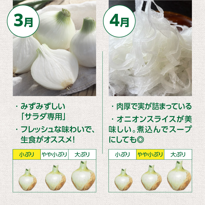 (2026年発送)【数量限定】訳あり 新玉ねぎ 生がおいしい 神重農産のブランド玉ねぎ「旬玉」2.5kg ブランド玉ねぎ 玉ねぎ 国産 愛知県産 野菜 やさい 農家直送 畑直送 旬 期間限定 たまねぎ