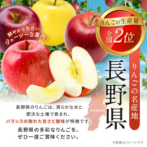 【10月上旬発送】シナノスイート 3kg(6～12玉)｜ふるさと納税 松本市 シナノスイート りんご 林檎  果物 フルーツ 信州 美味しい 