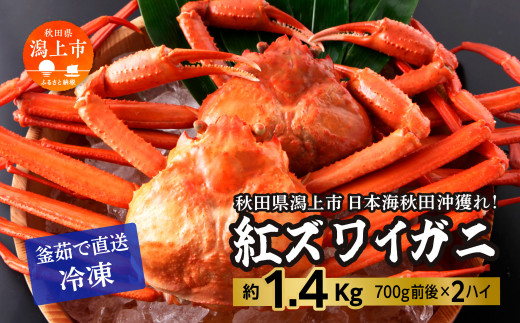 日本海沖産 紅ズワイガニ700g前後×2匹 約1.4kg/冷凍