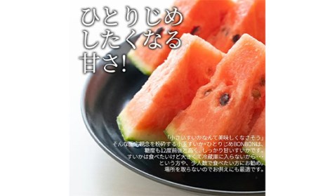 《先行予約 2026年7月中旬頃～7月下旬頃発送》山形県産 ひとりじめぼんぼん 2玉 3kg前後 FSY-2395