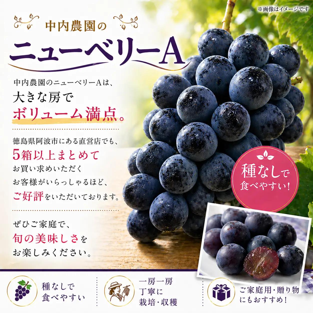 ぶどう ニューベリーA 5kg ぶどう