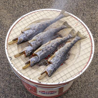 ふるさと納税 安芸高田市 安芸高田 滝ヶ谷 やまめ串(8尾入り)[No5895-0625] |  | 03