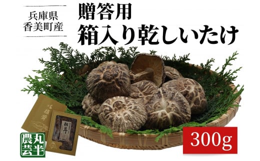 【贈答用 箱入りしいたけ 300g】きのこ キノコ 椎茸 しいたけ シイタケ 乾燥椎茸 原木乾燥しいたけ 原木栽培 最上級 肉厚 煮物 鍋 だし汁 55-02