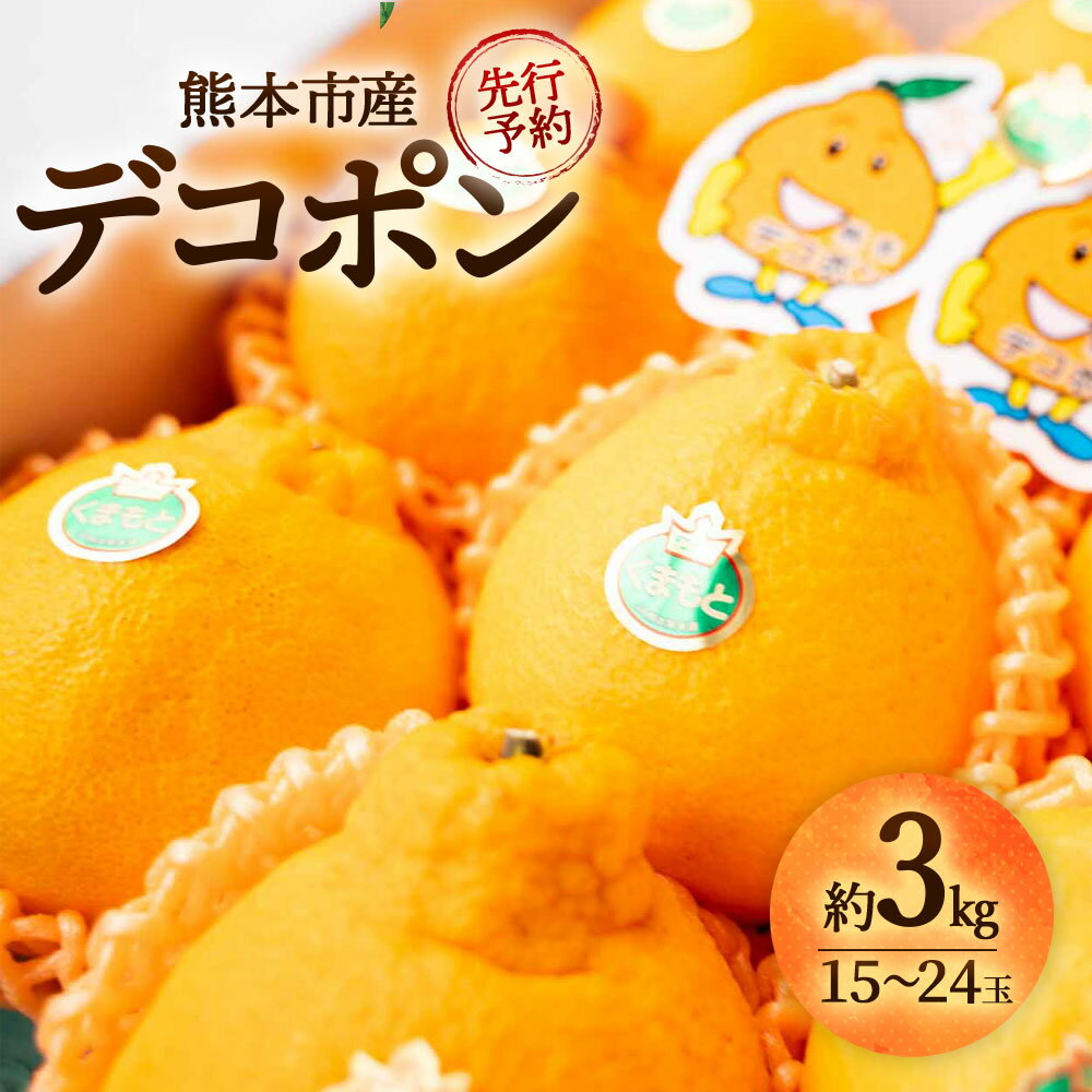 【ふるさと納税】デコポン 約3kg 15玉～24玉 みかん 柑橘 柑橘 柑橘の王様 ミカン フルーツ くだもの 果物 おやつ 熊本市 熊本県 国産 先行予約 送料無料【2026年2月下旬～3月下旬迄順次発送予定】