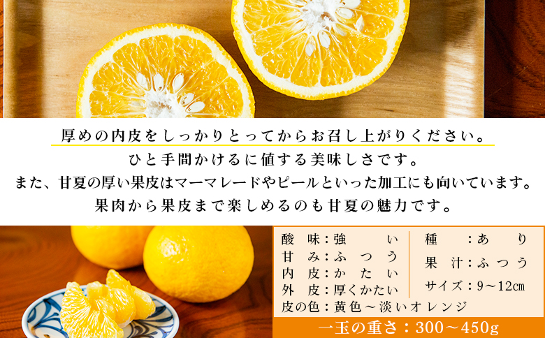 【先行予約】＜無茶々園の甘夏 約3kg＞ 果物 あまなつ みかん ミカン 蜜柑 柑橘 フルーツ 期間限定 季節限定 食べて応援 特産品 愛媛県 西予市