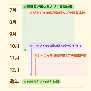 ナス・ピーマンなど夏野菜収穫体験＆プチ農業体験（1組5名まで） 〈 旬の野菜の収穫体験 食育 収穫体験 農業体験 体験 収穫 野菜 子供 親子 レジャー 観光 農作物 ふるさと納税 柏 〉