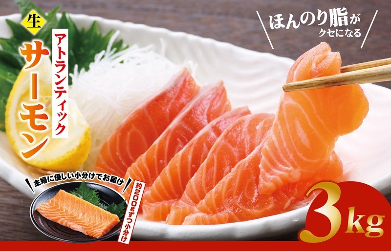 G3554 生食可！アトランティックサーモン 合計3kg【小分け 柵切り 刺身 魚介 海鮮】
