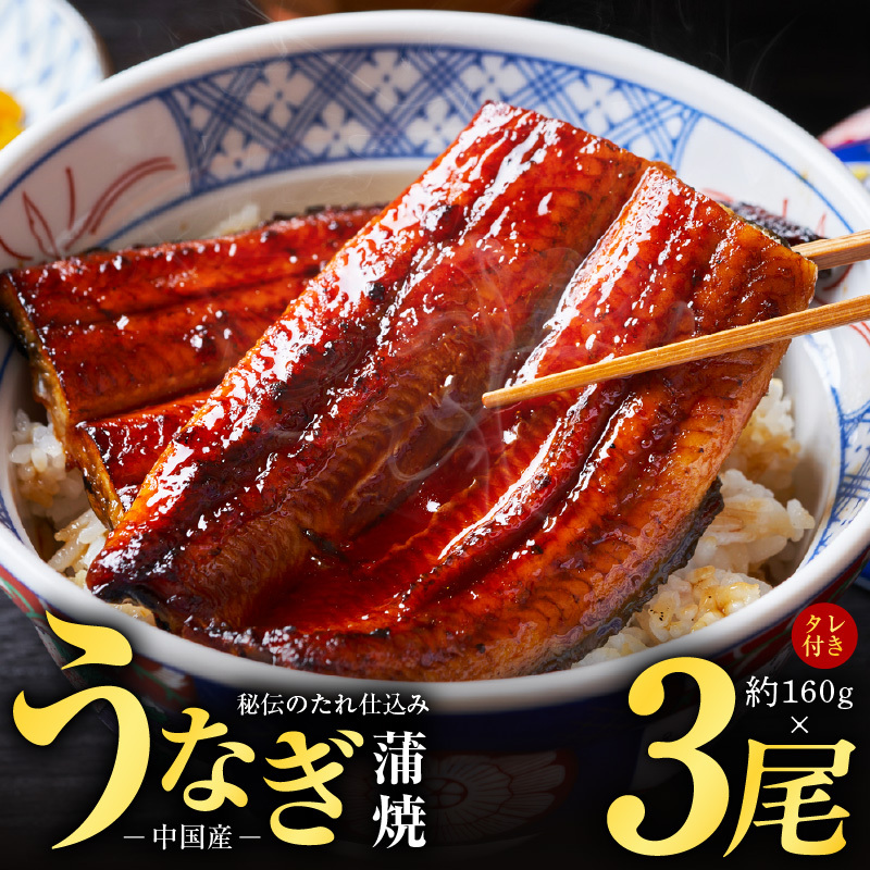秘伝のたれ仕込み うなぎ蒲焼 合計480g（約160ｇ×3尾）鰻 ウナギ 中国産 温めるだけ 簡単 レンジ調理 ふっくらふわふわ 炭火焼き 備長炭 手焼き kgp0066