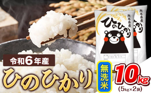 令和6年産  無洗米 ひのひかり 10kg 《1月中旬-1月末頃出荷予定》令和6年産 熊本県産 ふるさと納税 精米 ひの 米 こめ ふるさとのうぜい ヒノヒカリ コメ お米 おこめ