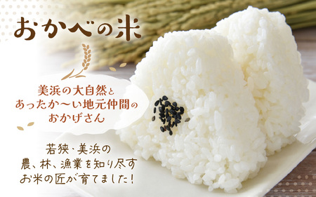 【先行予約】令和8年産 愛情たっぷり健やかに育った ツヤツヤ ハナエチゼン（白米）5kg【2026年9月上旬以降順次発送予定】 [m29-a027]