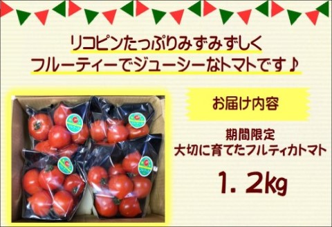期間限定　大切に育てたフルティカトマト1.2kg【A9-013】