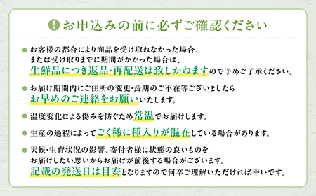 【2024年/令和6年発送分】シャインマスカット　2.0kg相当