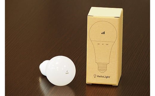 クロネコ見守りサービス　ハローライト訪問プラン ／ 電球設置 安否確認 大阪府 No.134