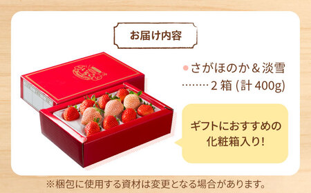 【先行予約】淡雪＆さがほのか 赤白 いちごセット200g × 2パック 合計400g（化粧箱入り） /赤いちご 白いちご 紅白いちご 赤白いちご 甘〜いいちご 化粧箱入りいちご 食べ比べいちごパック 