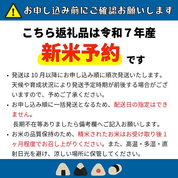 【先行予約】<令和７年産> 奥信濃飯山～木内ファームのお米～ コシヒカリ 精米 10㎏ (7-9A) コシヒカリ10ｋｇ